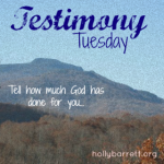 testimony tuesday Holley Gerth
