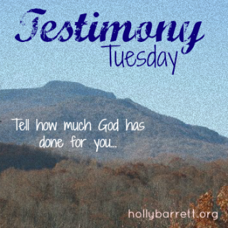 testimonytuesday Holley Gerth