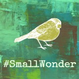 #smallwonder God's wonders