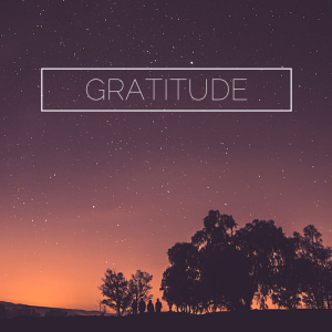Gratitude short film