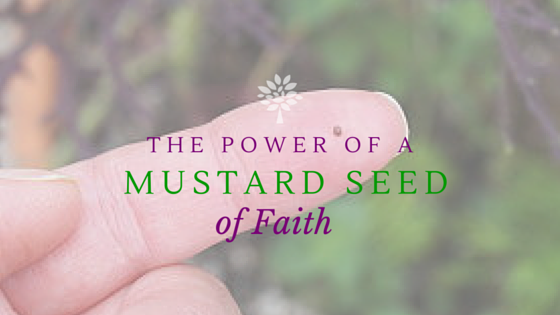 mustard seed of faith